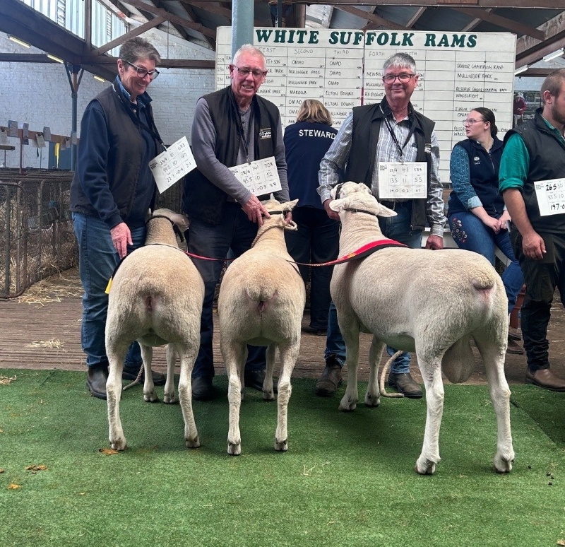 Breeders Group